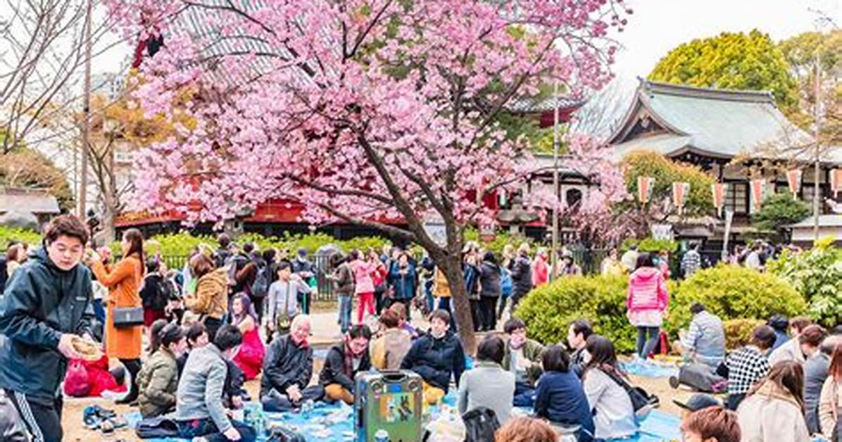 Hanami